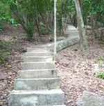 �i�����A����